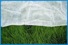 無(wú)紡布，無(wú)紡布價(jià)格，彈簧包用無(wú)紡布，家居無(wú)紡布，東莞市錦晨無(wú)紡布有限公司