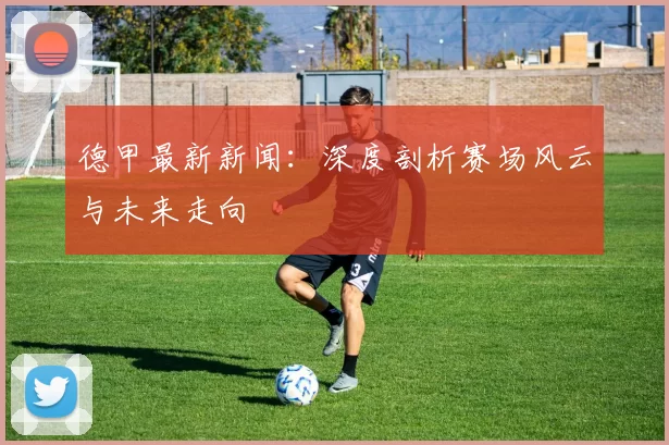 德甲最新新闻：深度剖析赛场风云与未来走向