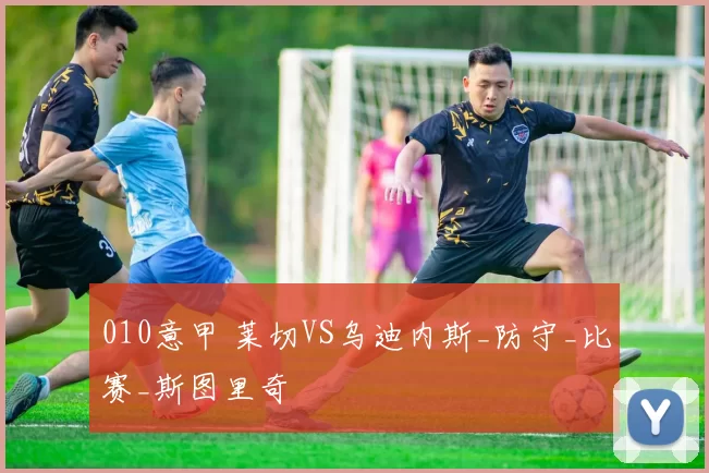 010意甲 莱切VS乌迪内斯_防守_比赛_斯图里奇